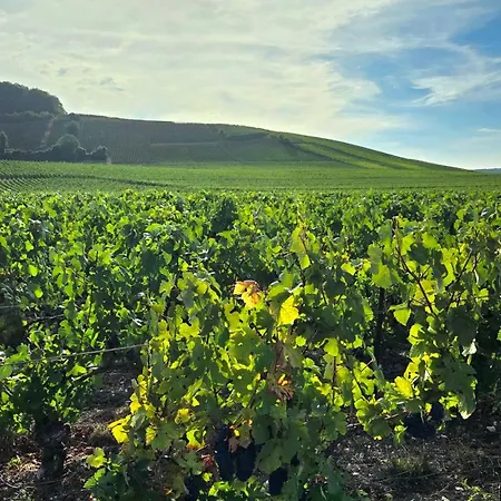 En Champagne A Beaurepaire Vakantiehuis