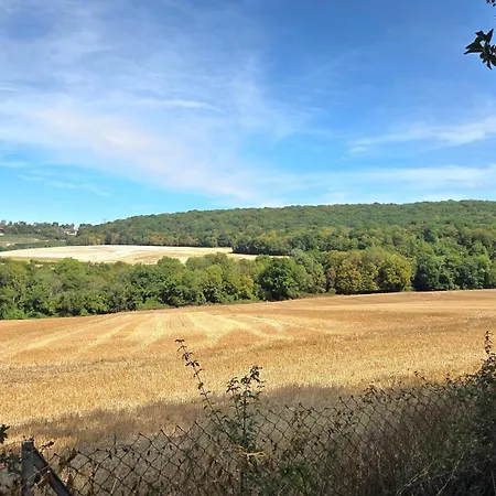 Vakantiehuis En Champagne A Beaurepaire *