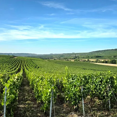En Champagne A Beaurepaire * Festigny (Marne)