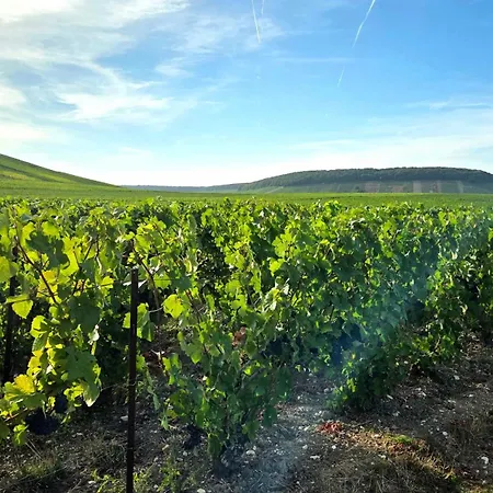 En Champagne A Beaurepaire Vakantiehuis Festigny (Marne)